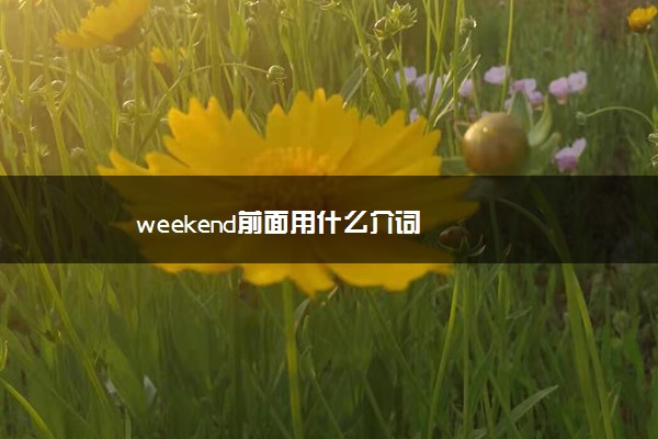 weekend前面用什么介词