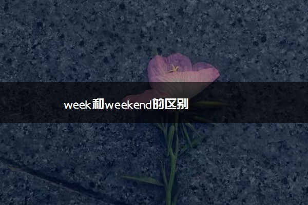 week和weekend的区别