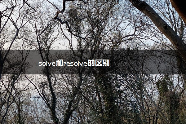 solve和resolve的区别