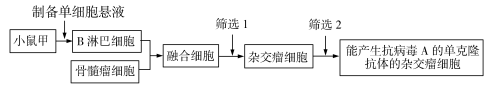 2020湖北高考理综试题及答案解析