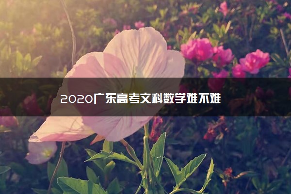 2020广东高考文科数学难不难