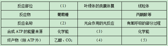 2020四川高考理综试题及答案解析