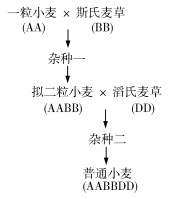 2020四川高考理综试题及答案解析