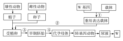 2020四川高考理综试题及答案解析