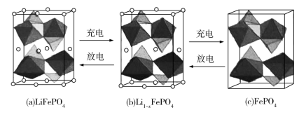 2020福建高考理综试卷