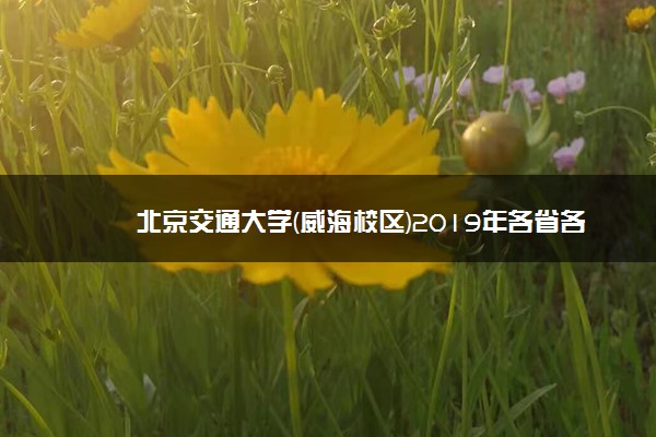 北京交通大学(威海校区)2019年各省各专业录取分数线