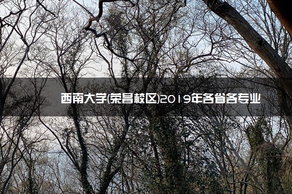 西南大学(荣昌校区)2019年各省各专业录取分数线