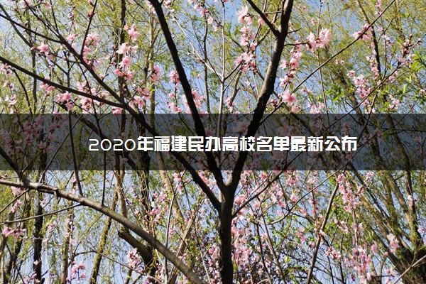 2020年福建民办高校名单最新公布