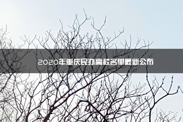 2020年重庆民办高校名单最新公布