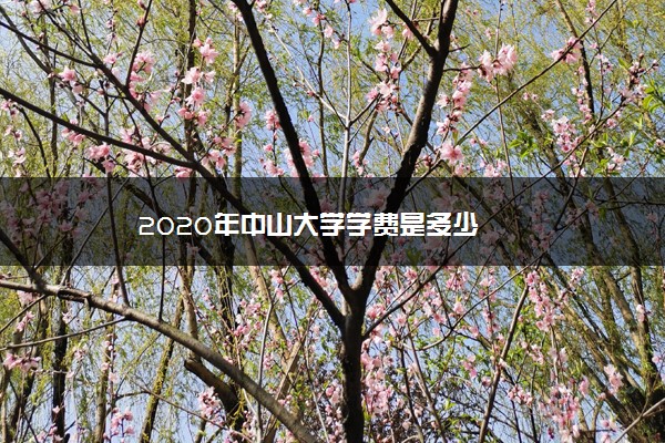 2020年中山大学学费是多少