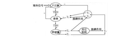 2020浙江高考生物试题【word真题试卷】