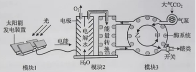 2020年山东新高考全国1卷生物试题