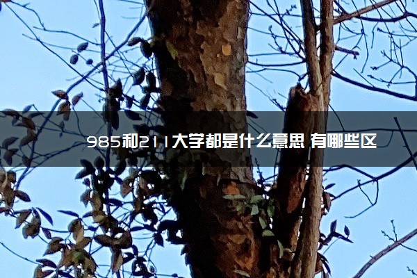 985和211大学都是什么意思 有哪些区别