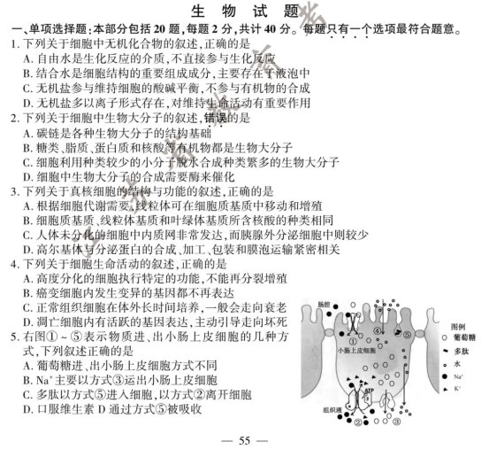 2020江苏高考生物试题【word真题试卷】