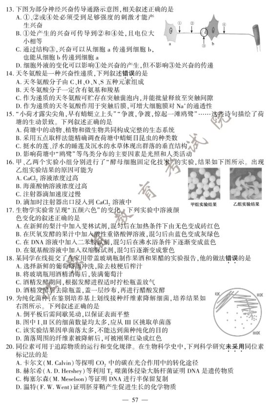 2020江苏高考生物试题及答案解析