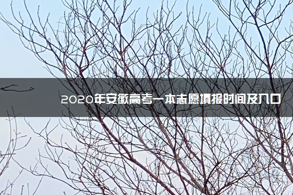 2020年安徽高考一本志愿填报时间及入口