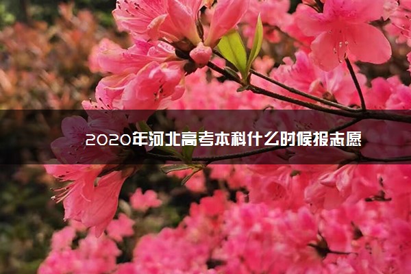 2020年河北高考本科什么时候报志愿