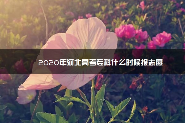 2020年河北高考专科什么时候报志愿