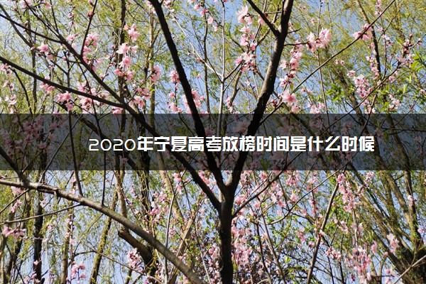 2020年宁夏高考放榜时间是什么时候