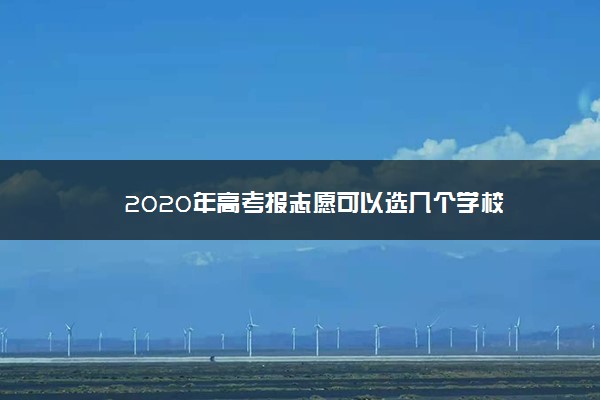 2020年高考报志愿可以选几个学校