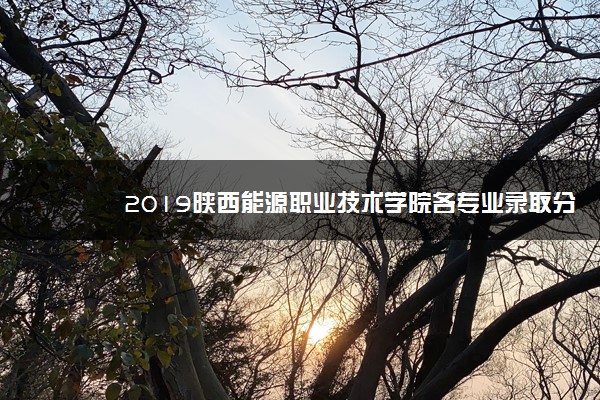 2019陕西能源职业技术学院各专业录取分数线汇总