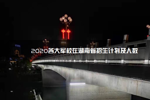 2020各大军校在湖南省招生计划及人数