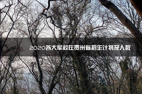 2020各大军校在贵州省招生计划及人数