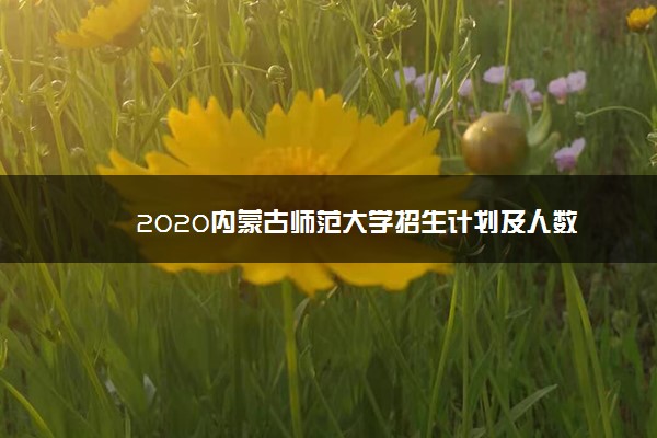 2020内蒙古师范大学招生计划及人数