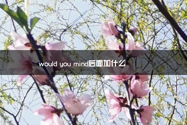 would you mind后面加什么