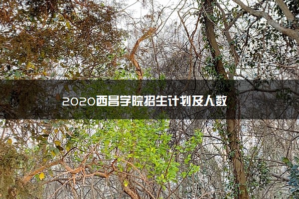 2020西昌学院招生计划及人数