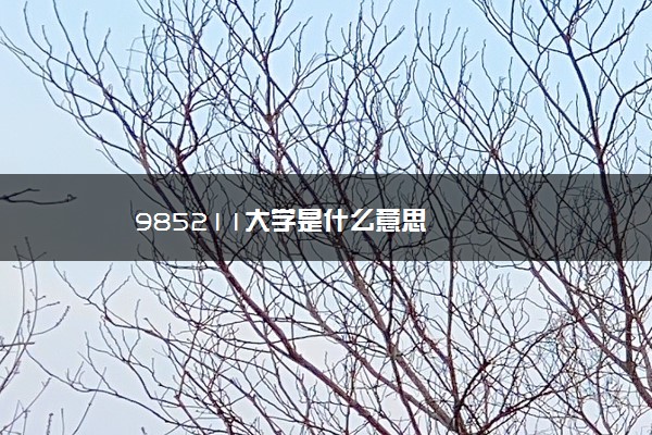 985211大学是什么意思