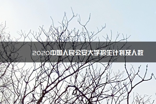 2020中国人民公安大学招生计划及人数