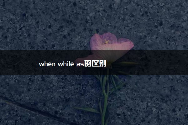 when while as的区别