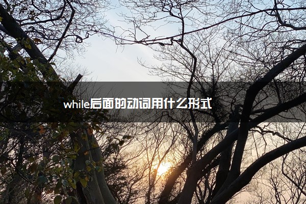 while后面的动词用什么形式