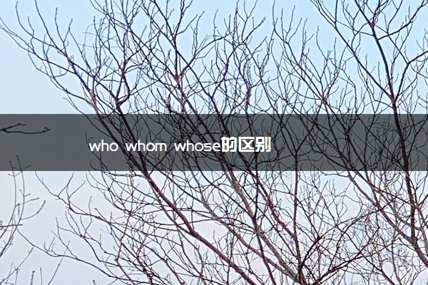 who whom whose的区别