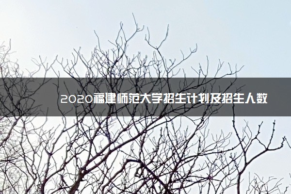 2020福建师范大学招生计划及招生人数