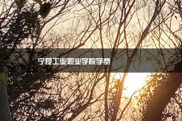 宁夏工业职业学院学费