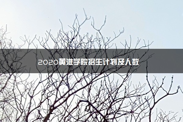 2020黄淮学院招生计划及人数