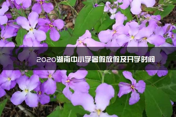 2020湖南中小学暑假放假及开学时间