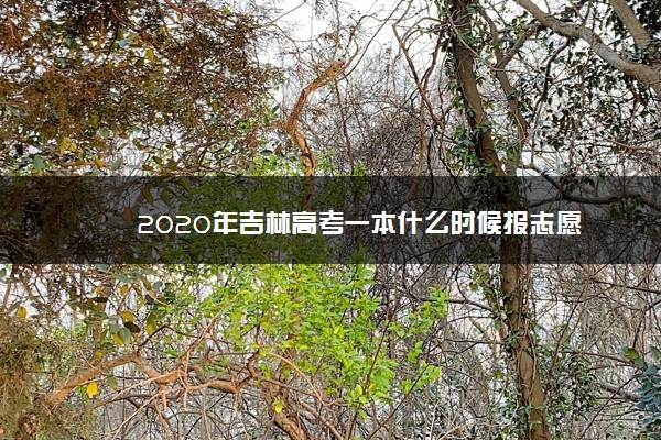 2020年吉林高考一本什么时候报志愿