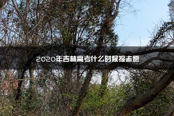 2020年吉林高考什么时候报志愿