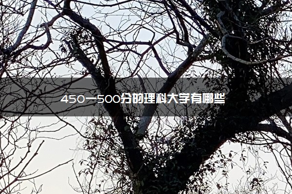 450一500分的理科大学有哪些