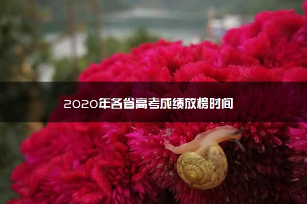 2020年各省高考成绩放榜时间