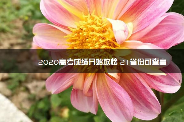 2020高考成绩开始放榜 21省份可查高考成绩