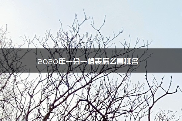 2020年一分一档表怎么看排名