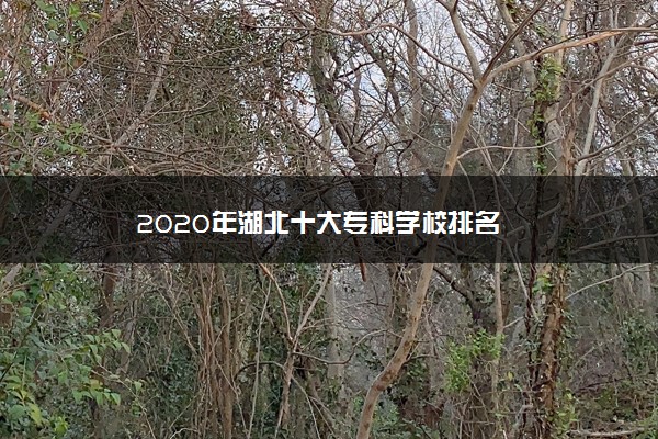 2020年湖北十大专科学校排名