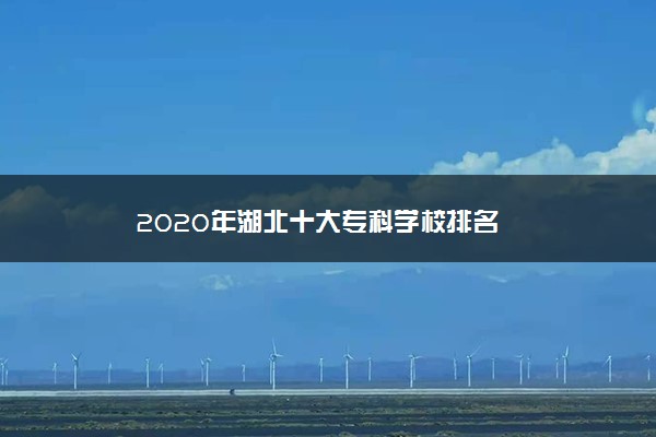 2020年湖北十大专科学校排名