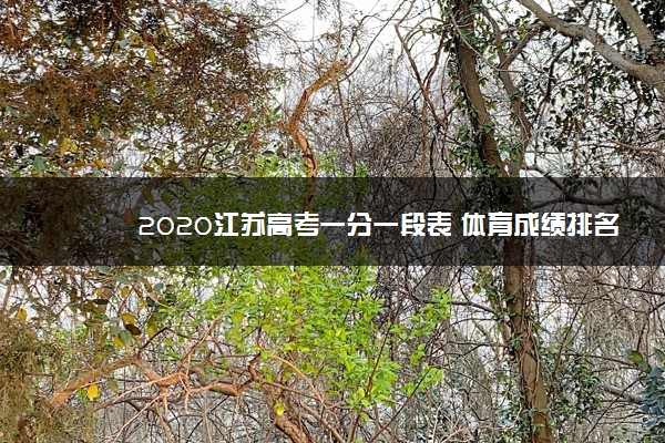 2020江苏高考一分一段表 体育成绩排名