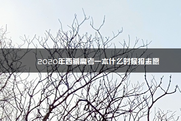 2020年西藏高考一本什么时候报志愿