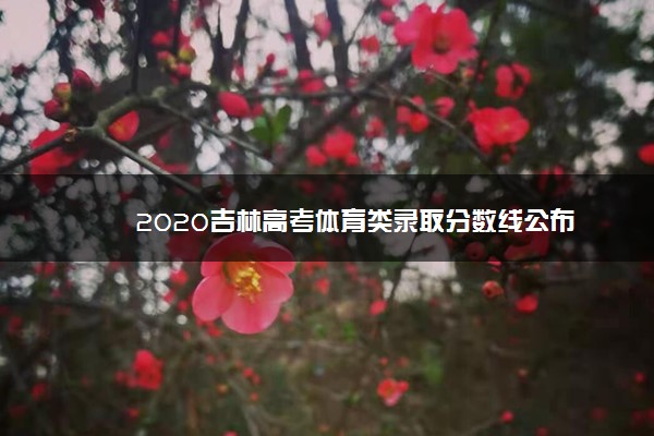 2020吉林高考体育类录取分数线公布